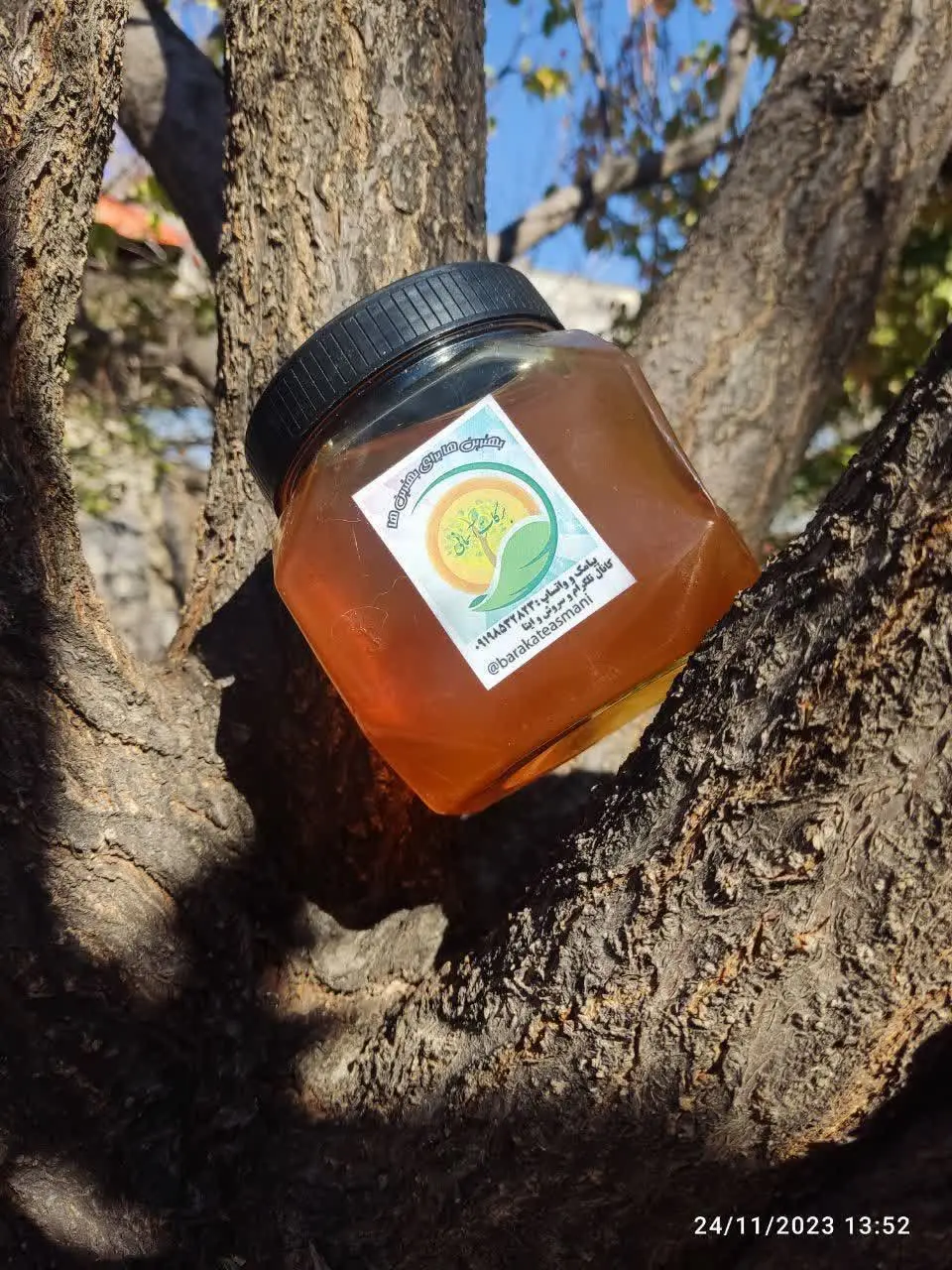 🐝🌞 عسل خالص ویژه کوهی با کیفیت بسیار عالی، شکر نخورده و … 
