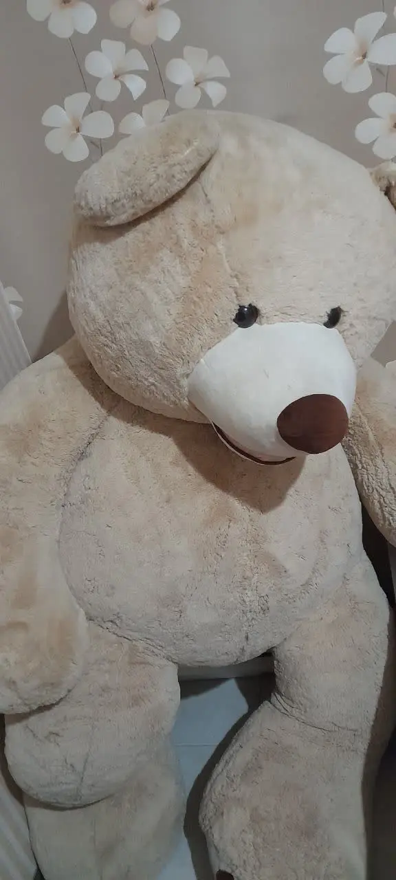 خرس بزرگ سالم وتمیز💚💚💚
