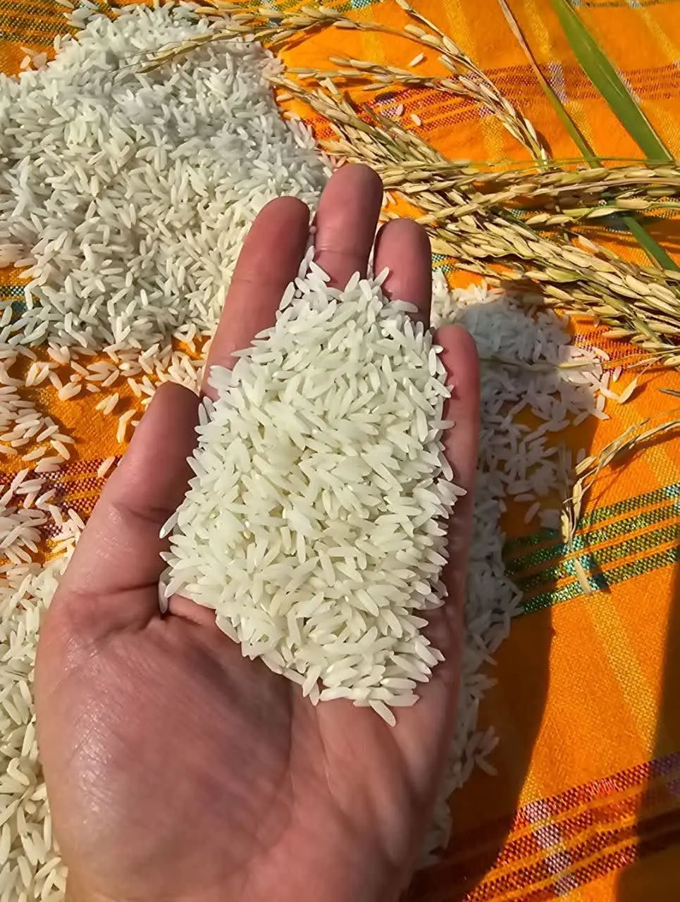 تخفیف های استثنائی فقط برای...