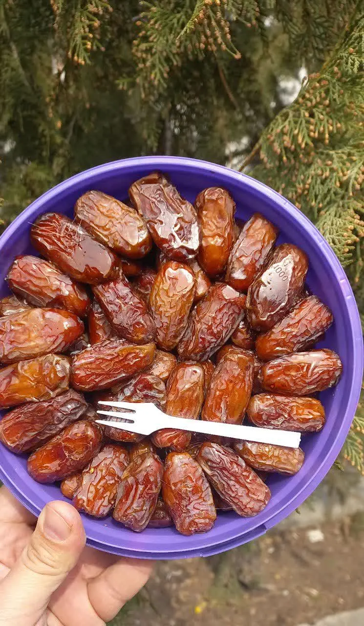 پیارم سطلی درجه یک 🌴 
