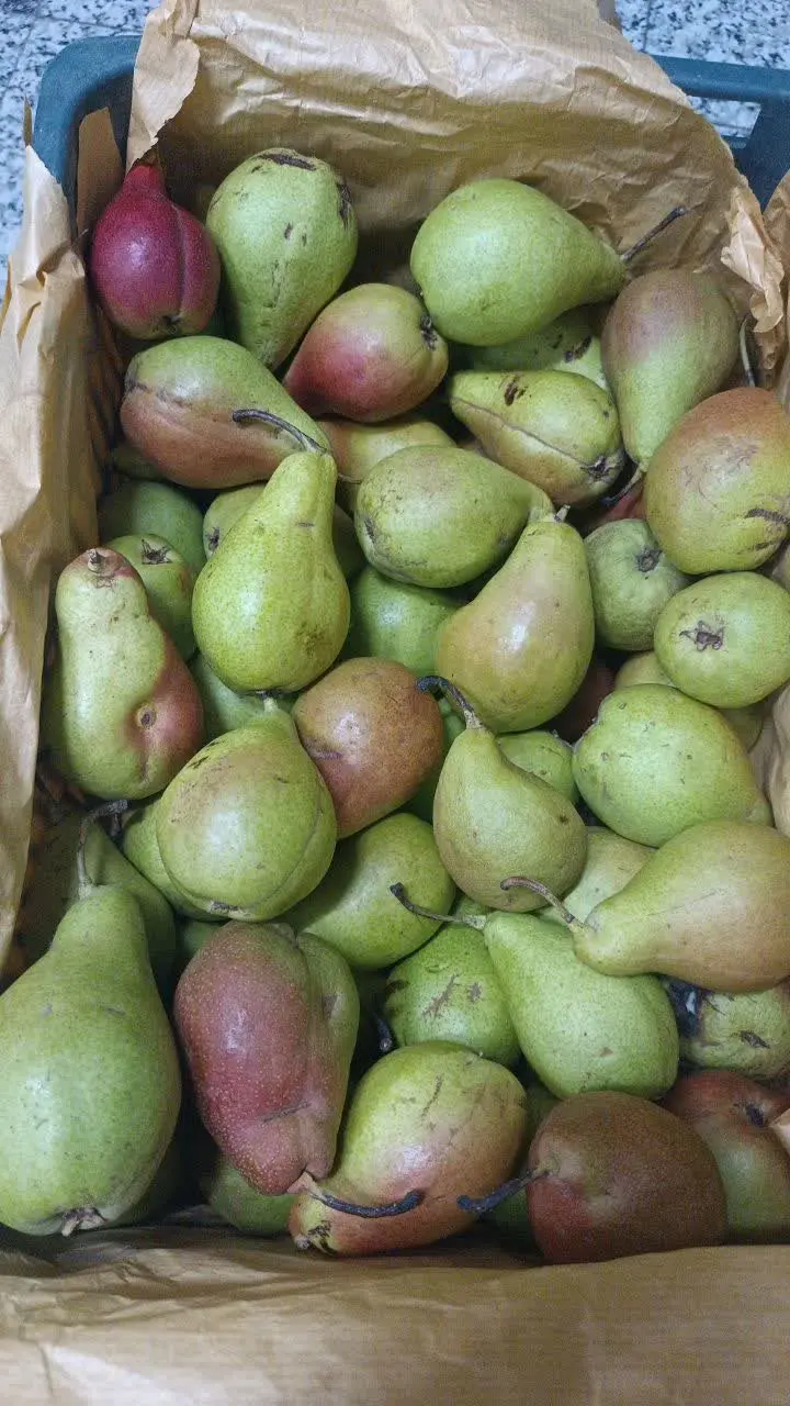 💥گلابی های ارگانیک باغ رمان...