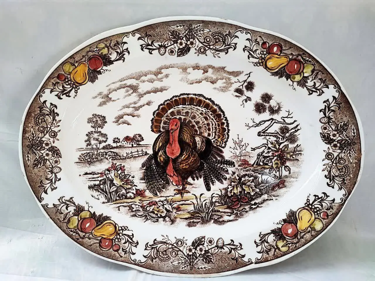 دیس بوقلمون
