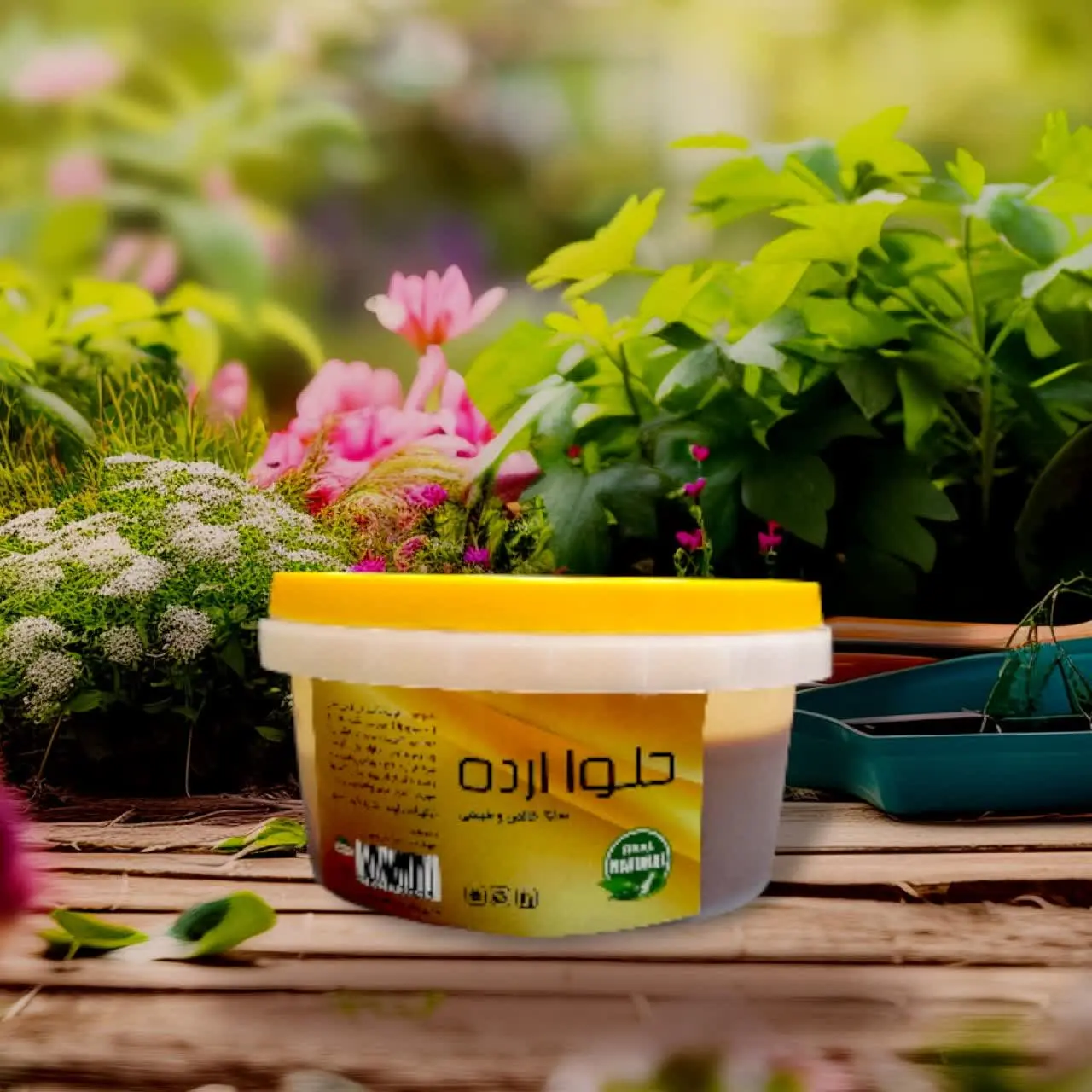 #حلوا_ارده با شیره خرما
