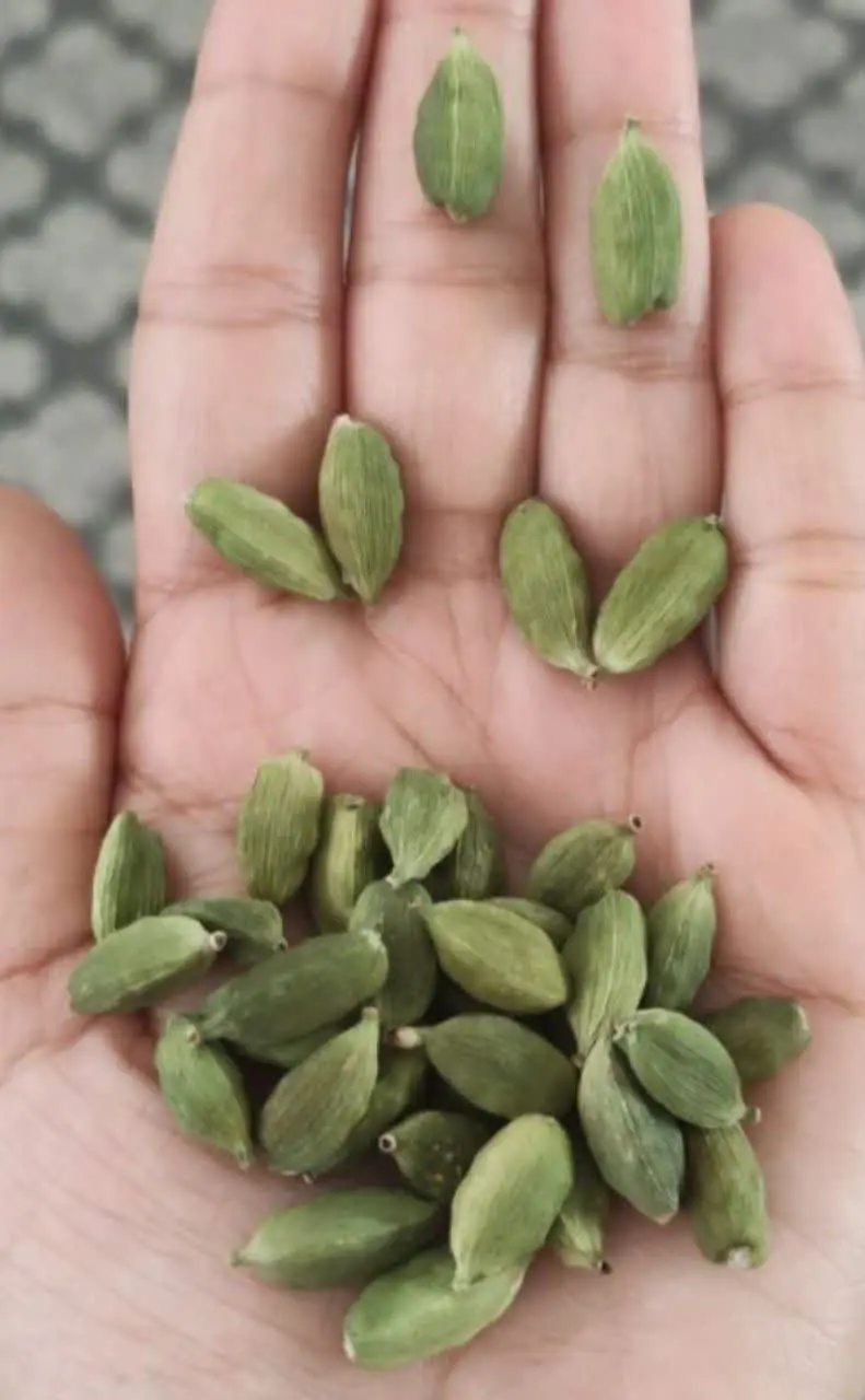 هر یه دونه ش اندازه یه بند انگشته🤭
