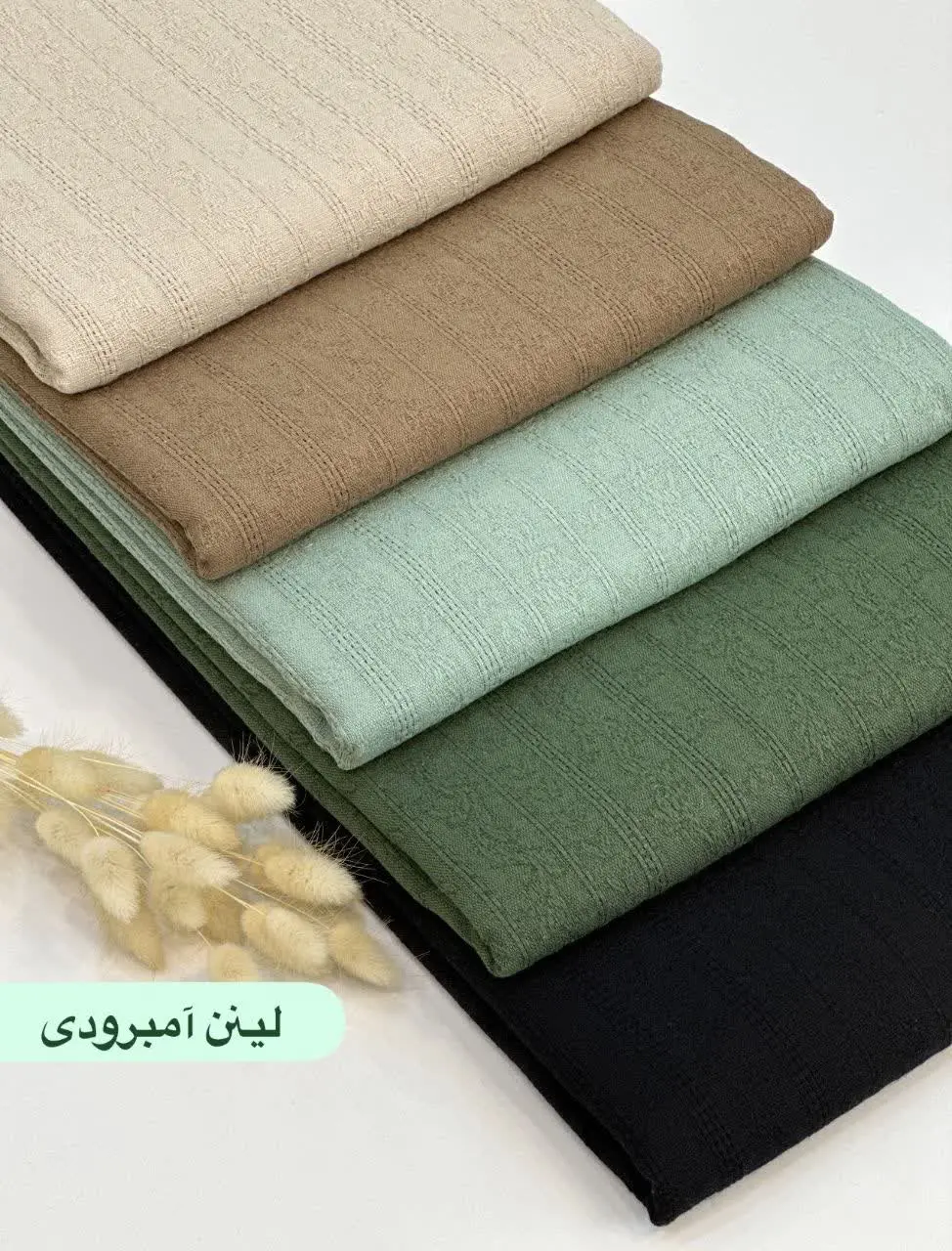 لینن آمبرودی 
