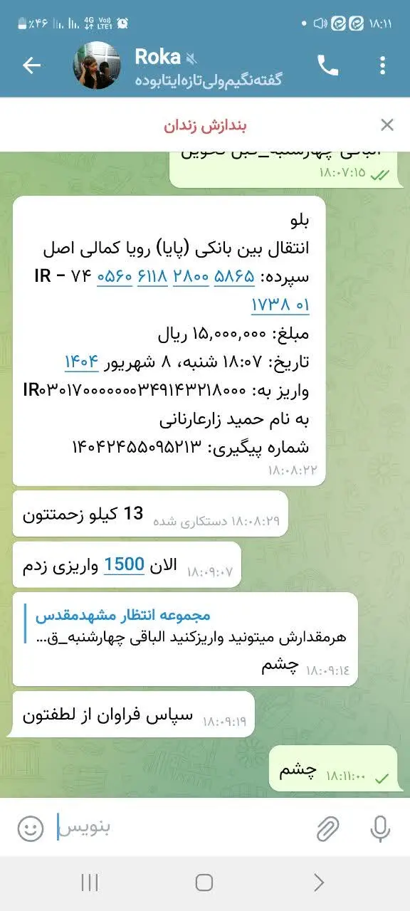 از ۱۷کیلو گوشت چرخ کرده قیم...