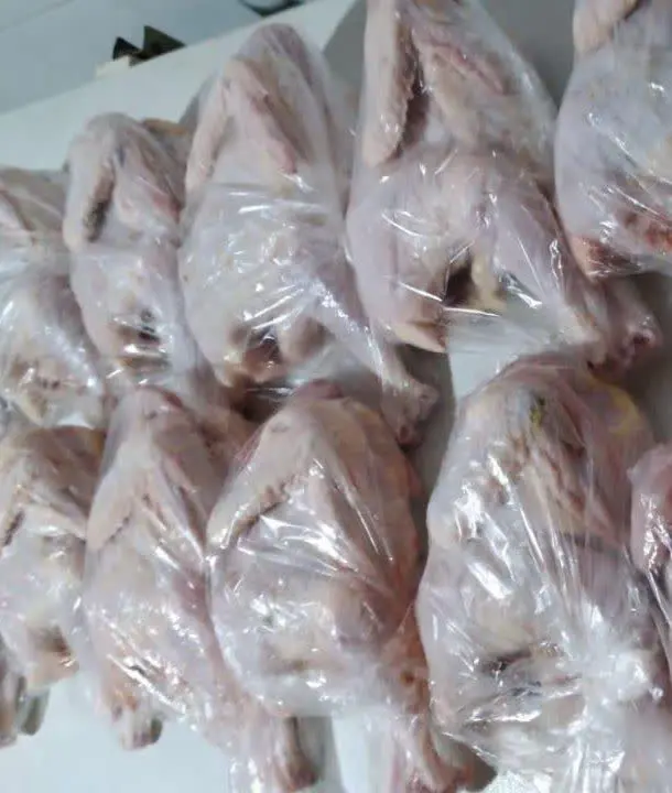 موجودی محلی جات کامل
