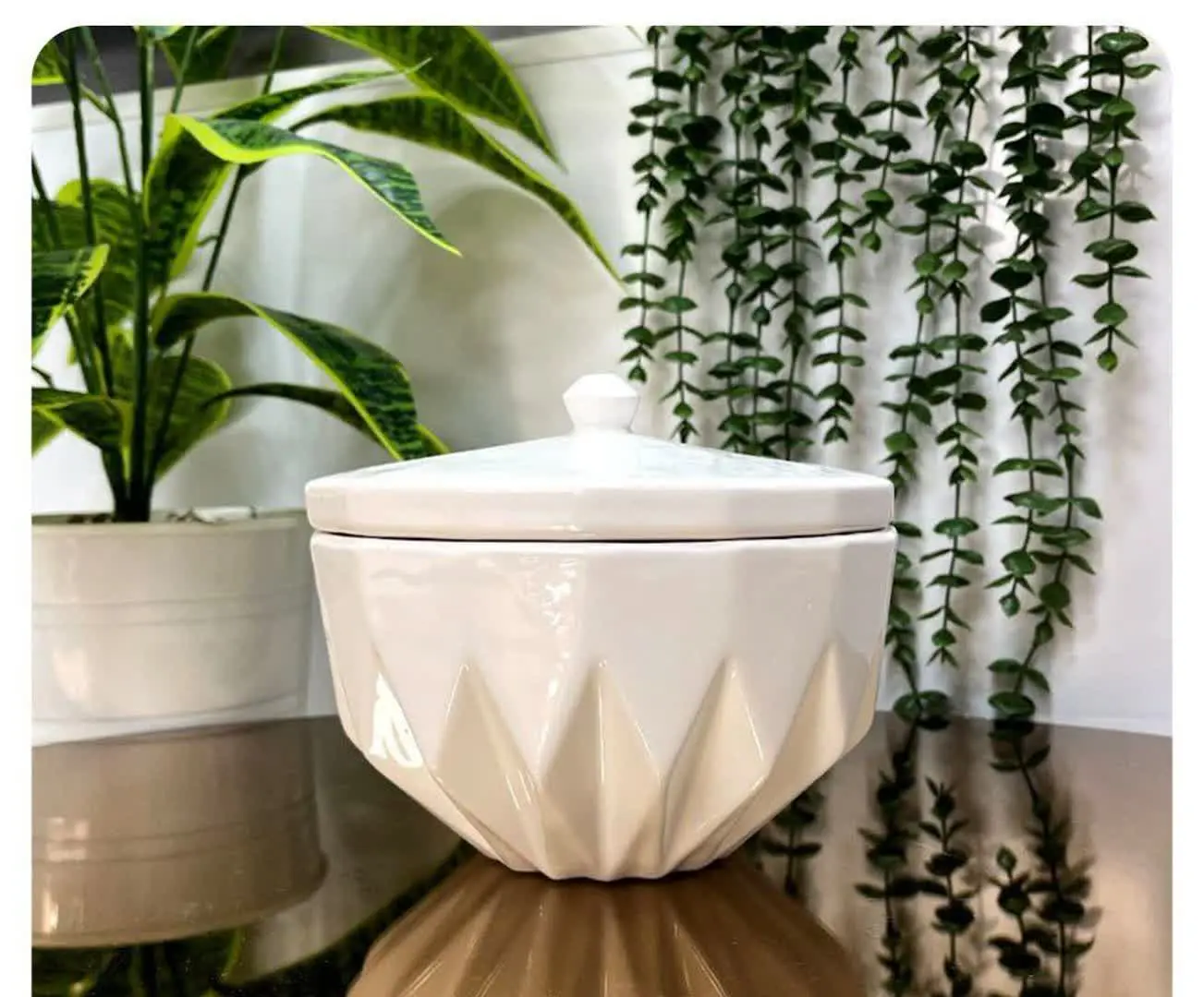 🚩🚩🚩🚩 🚩🚩🚩🚩🚩🚩🚩🚩
