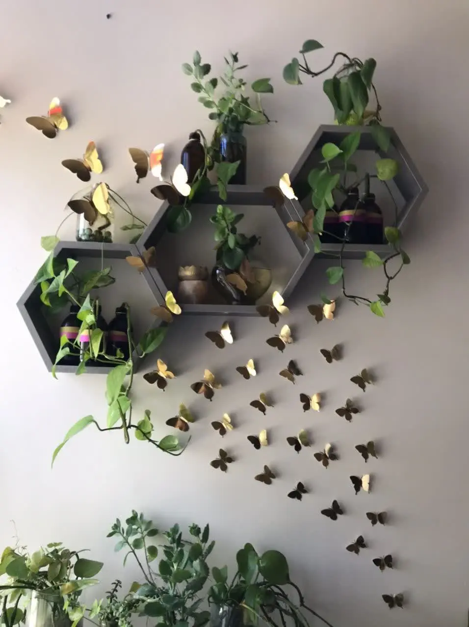 دوستان عزیز پک پروانه هامون🦋🦋