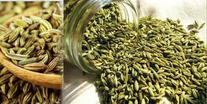 🍃#رازیانه_اعلا🍃
