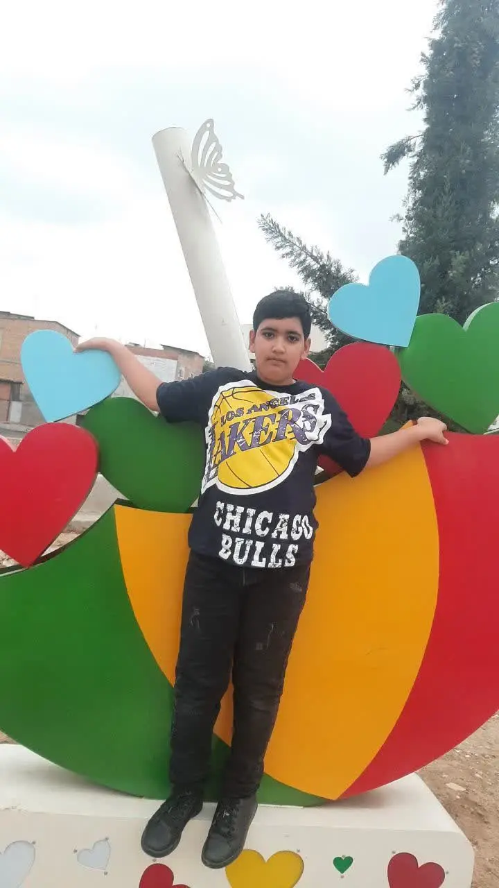 نام شرکت کننده: امیرعلی اخوان 
