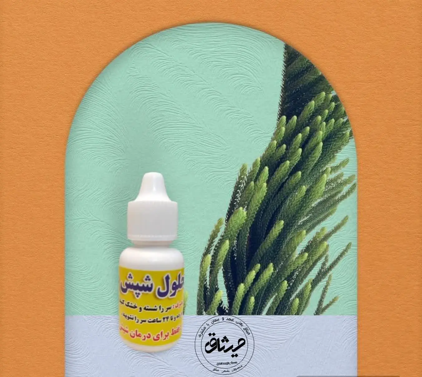 🟩 سر را شسته و خشک کنید به...