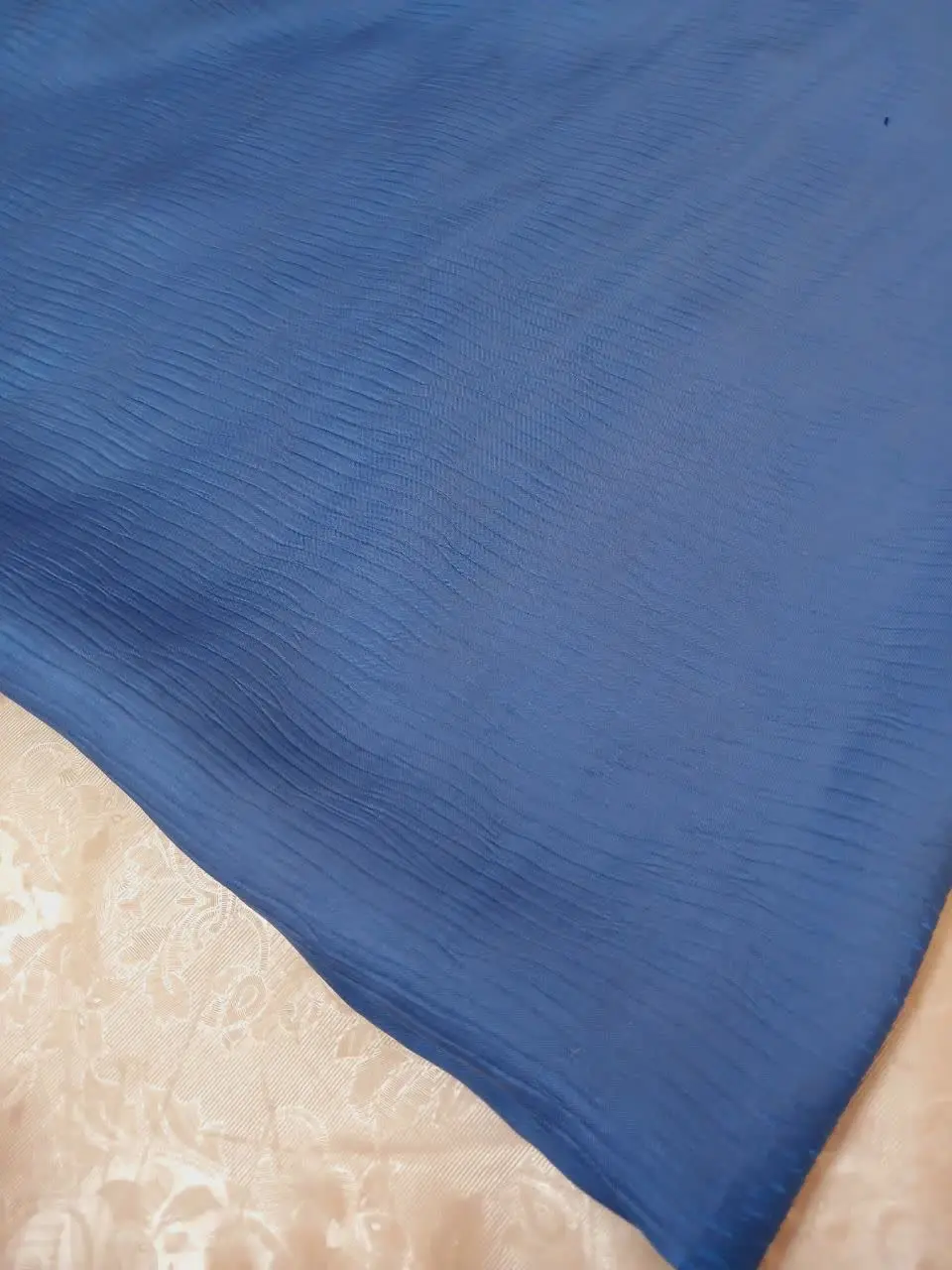 ✅ بامبو دلفینی
