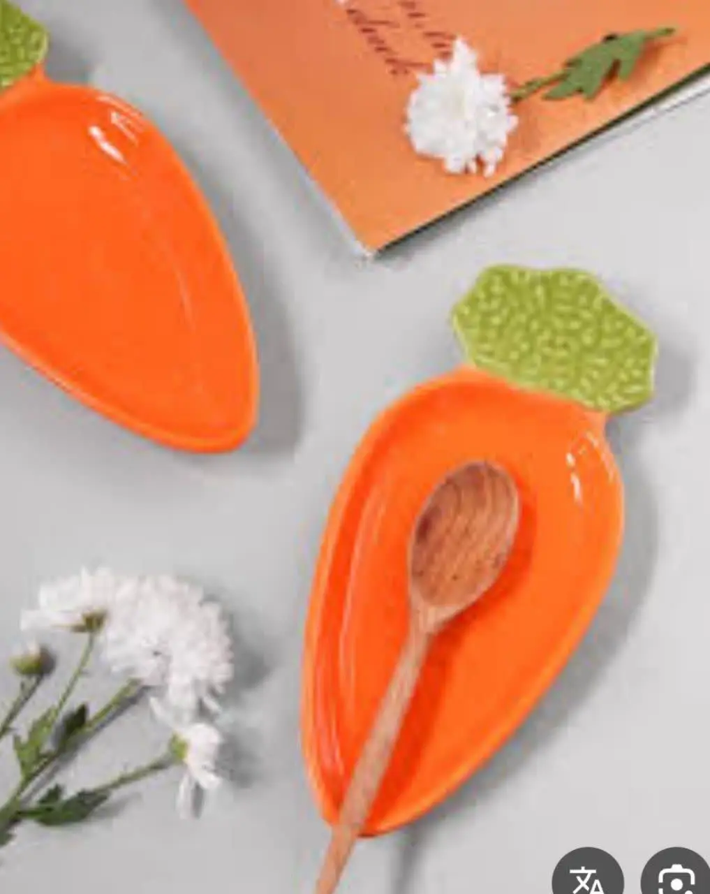 🌟بشقاب هویج