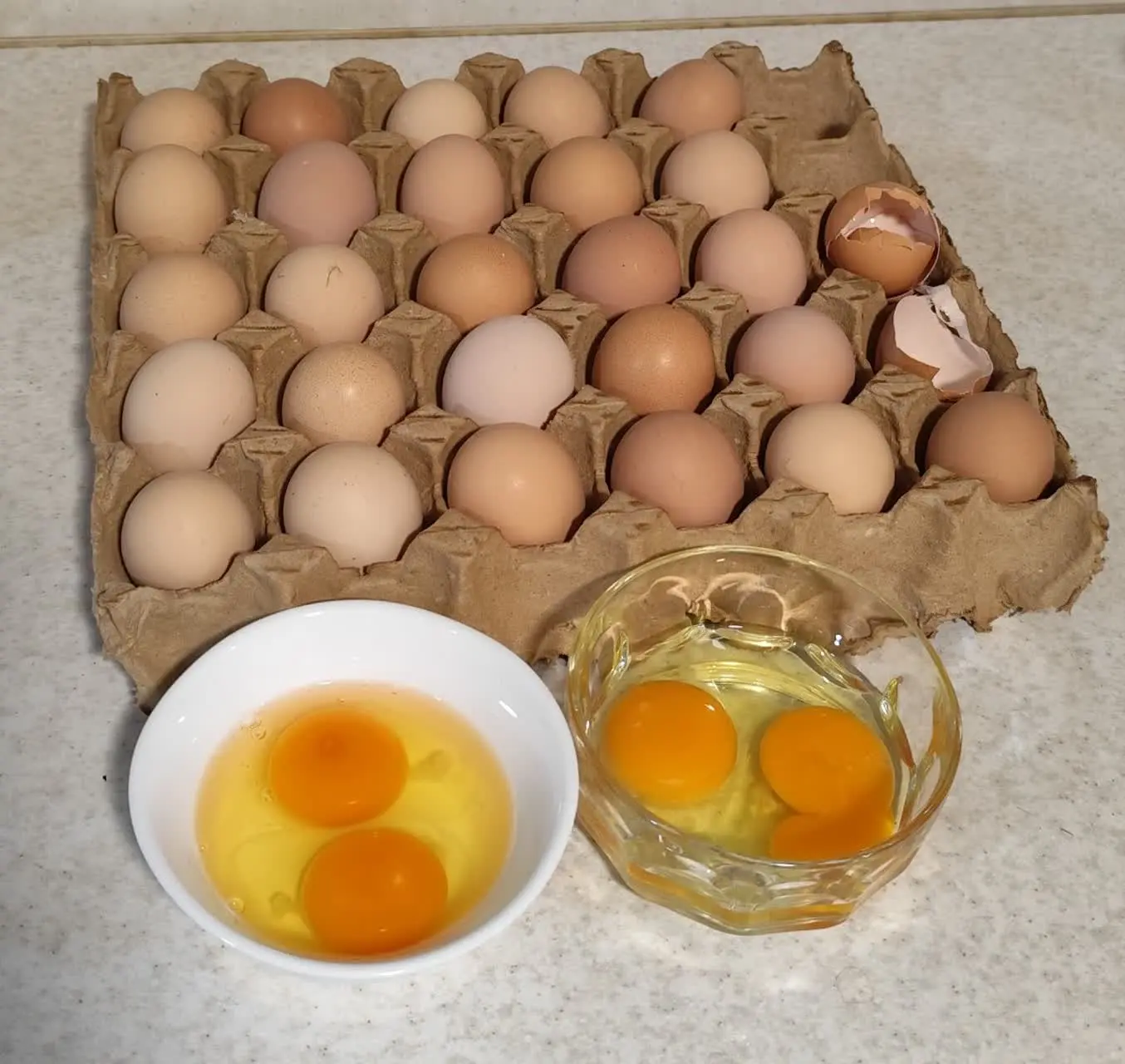 عرضه مستقیم تخم مرغ گلپایگان 🍳