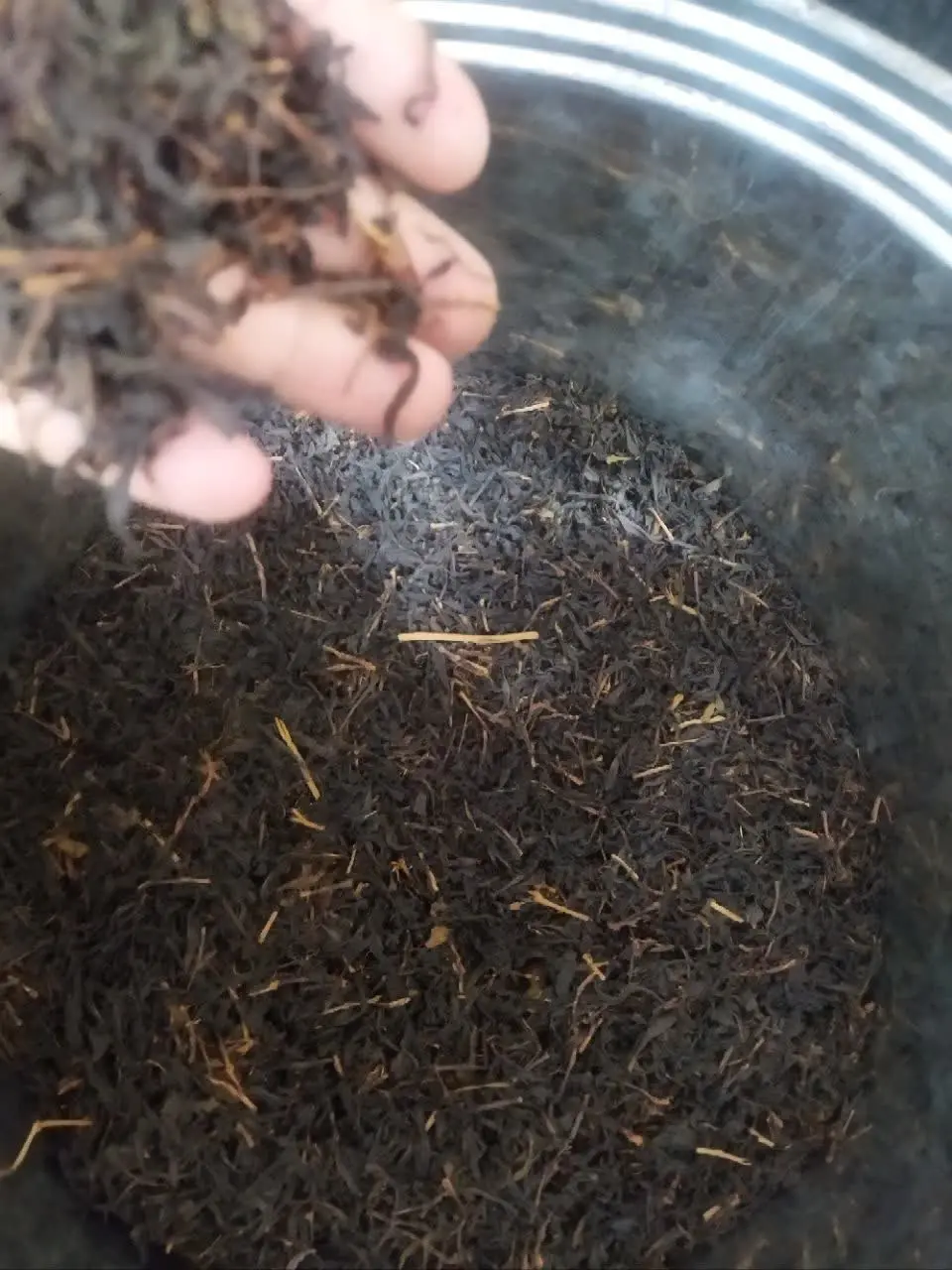 🤩چای طبیعی (قلم ریز) بهاره🤩
