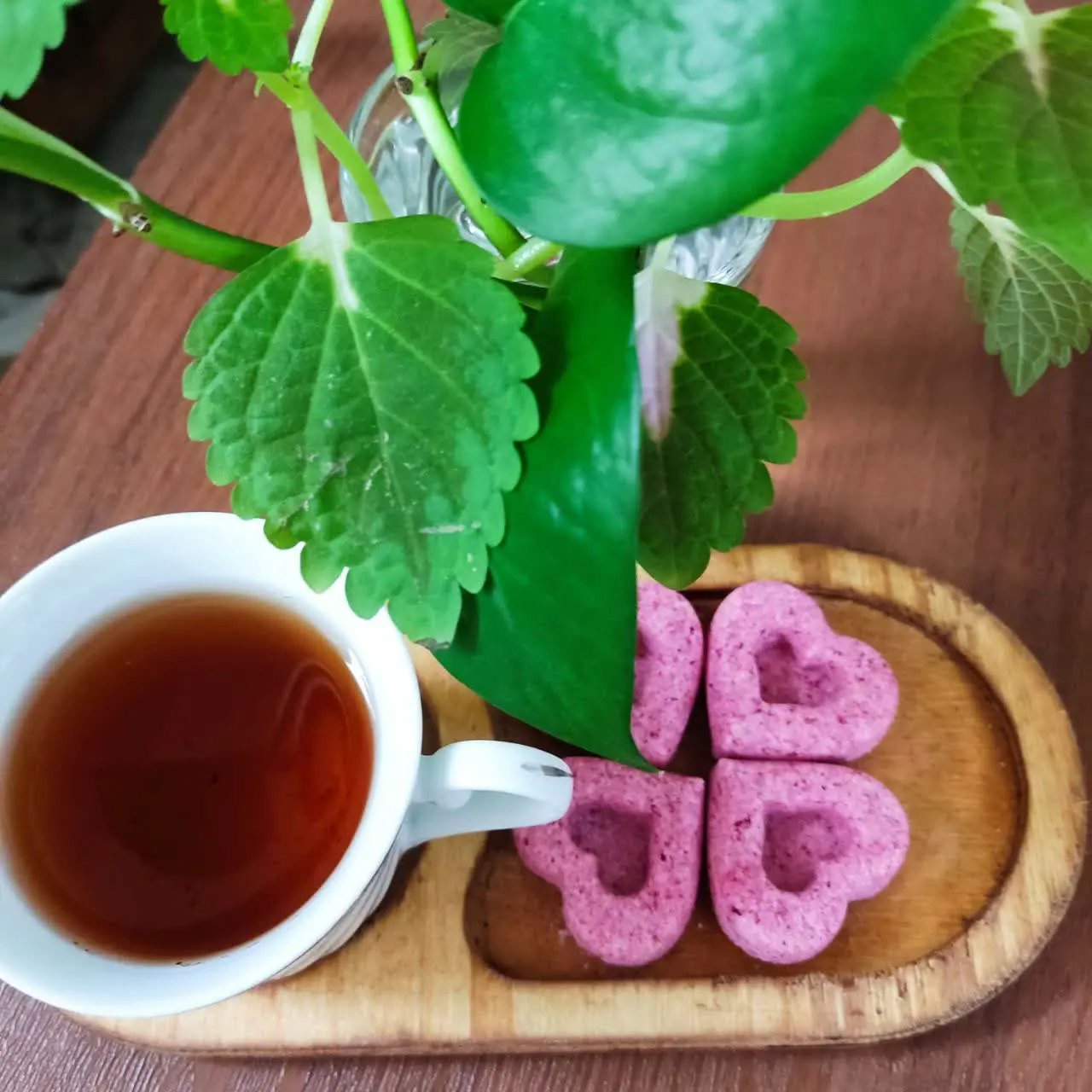 🌸 نبات لوکس 🌸
