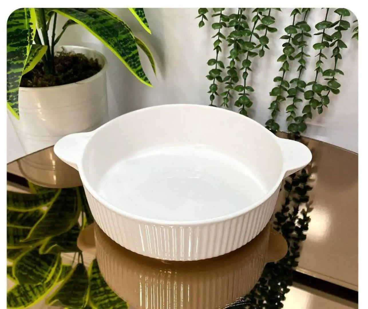 #مرغ خوری گرد وانسل 🍓
