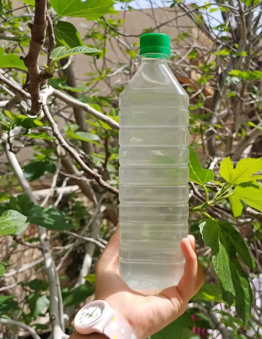 غلظت هل مون رو ببینید👆👆👆
