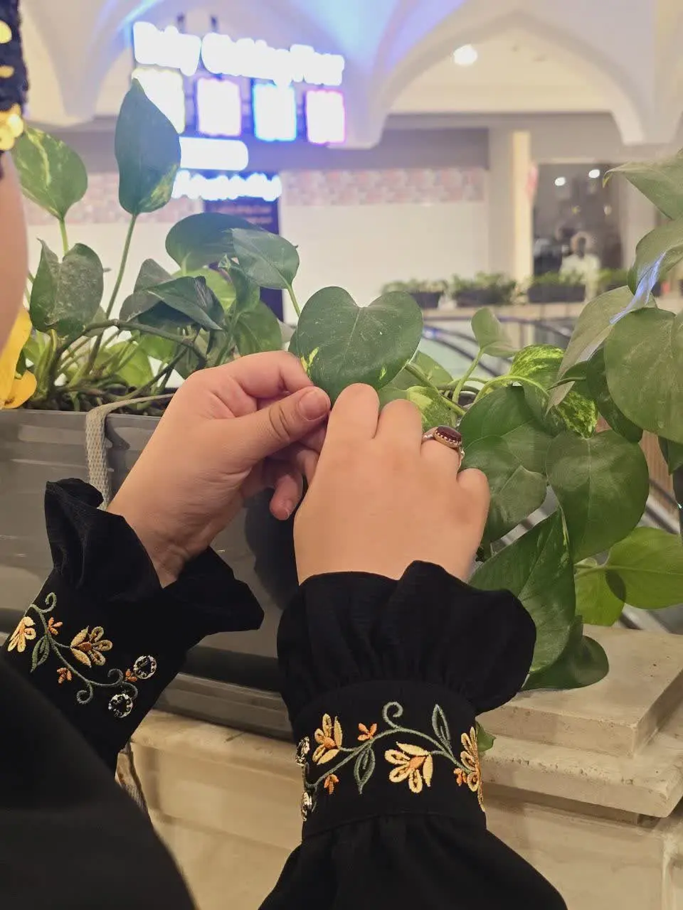 عبای حوریا از ملیران✨🌼🍂