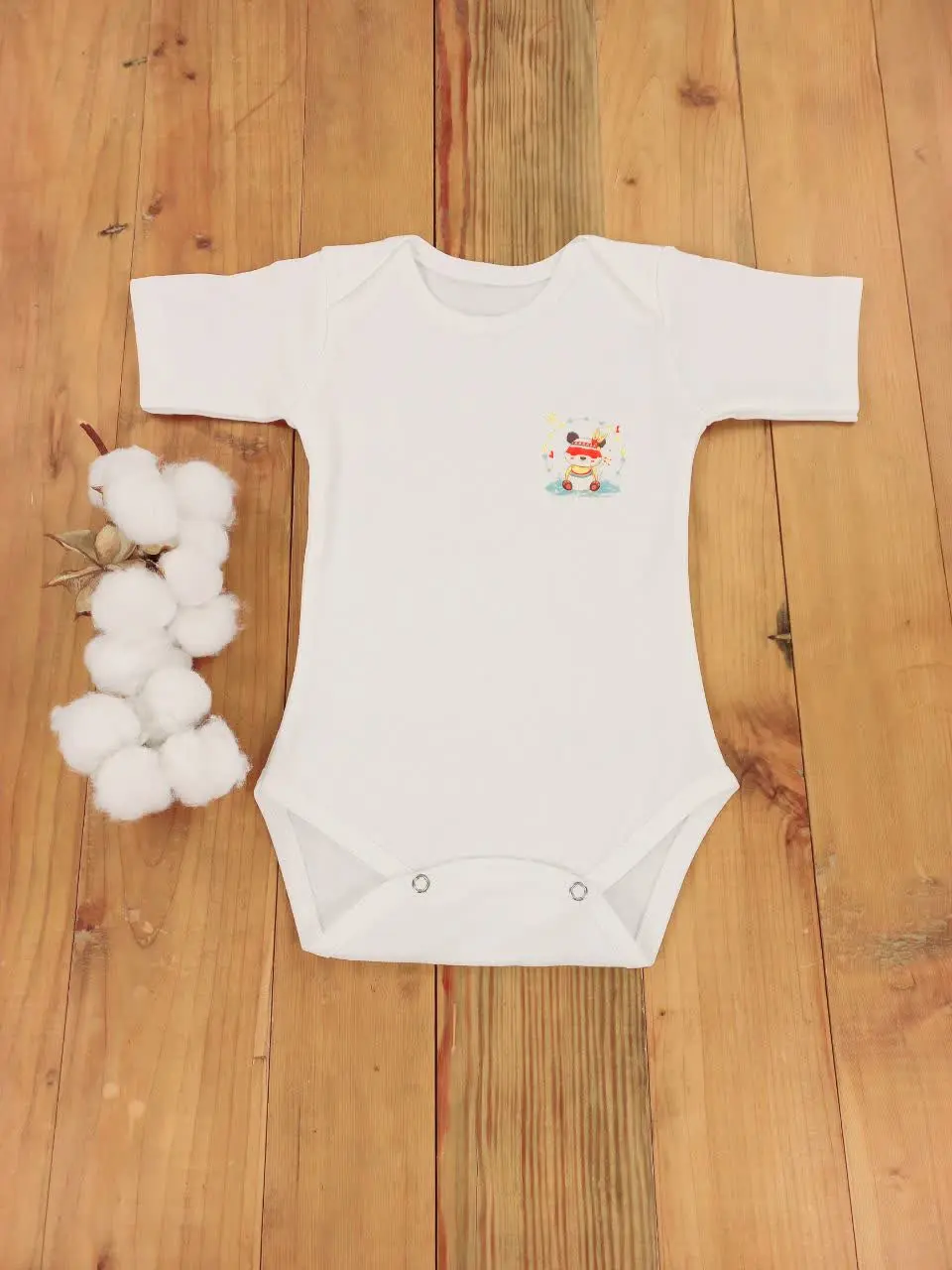 پاندای سرخ پوست 
