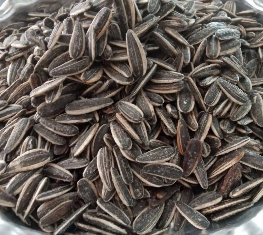 تخمه آفتابگردان به درخاست شمادوباره شارژ شد
