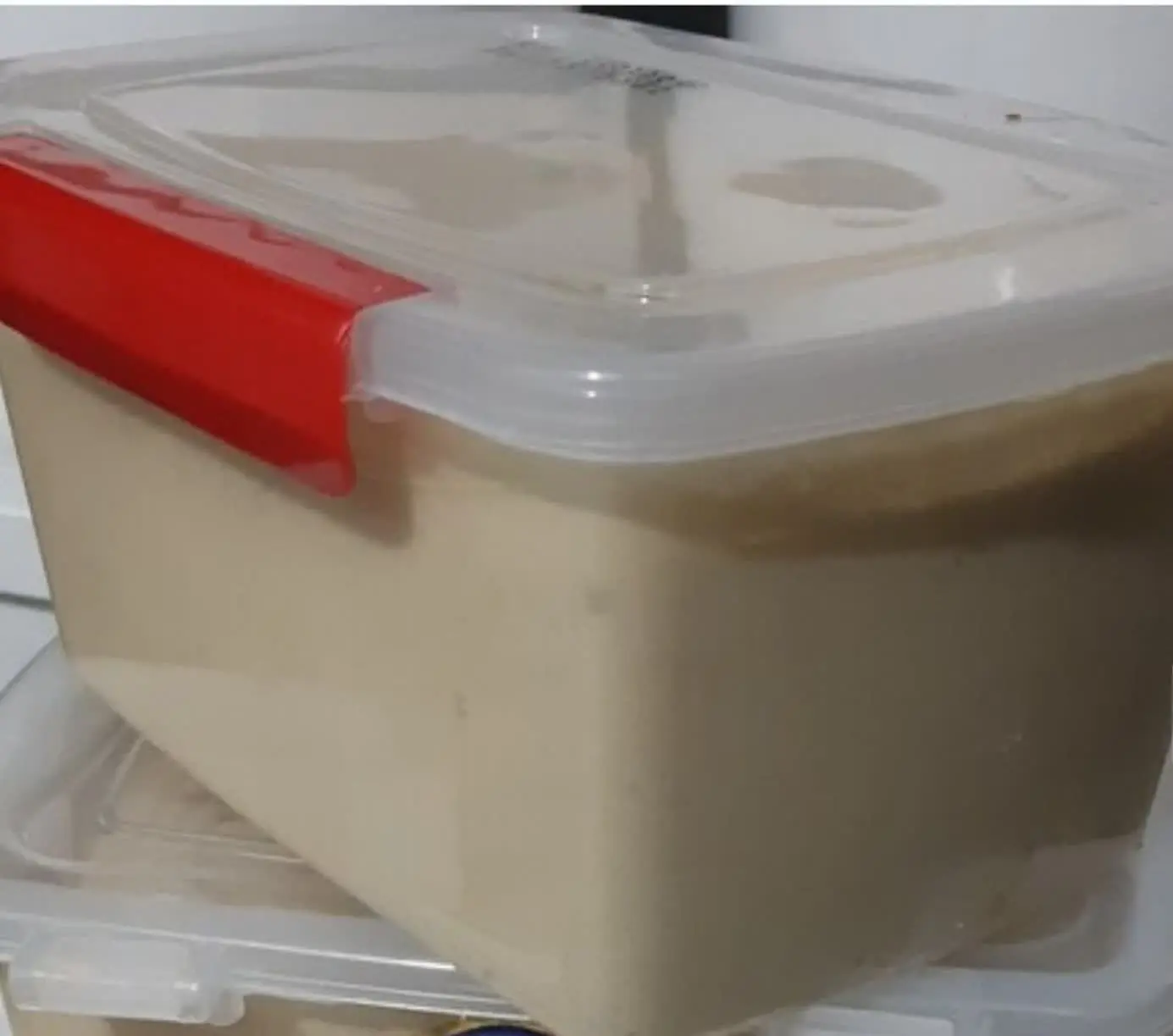 🌿☀️دوستان حلوا ارده ۲کیلویی