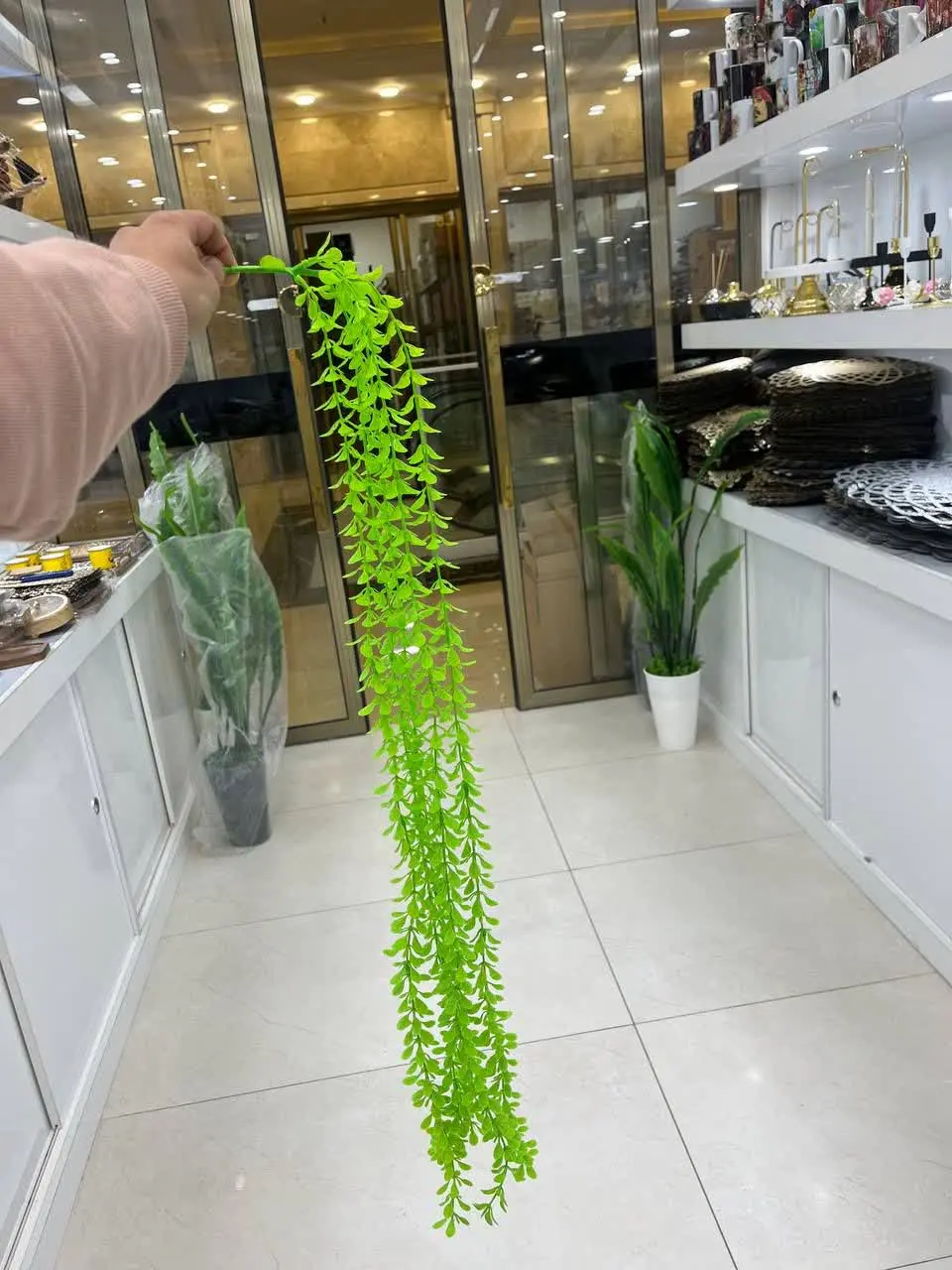 شمشاد ۵ بازو
