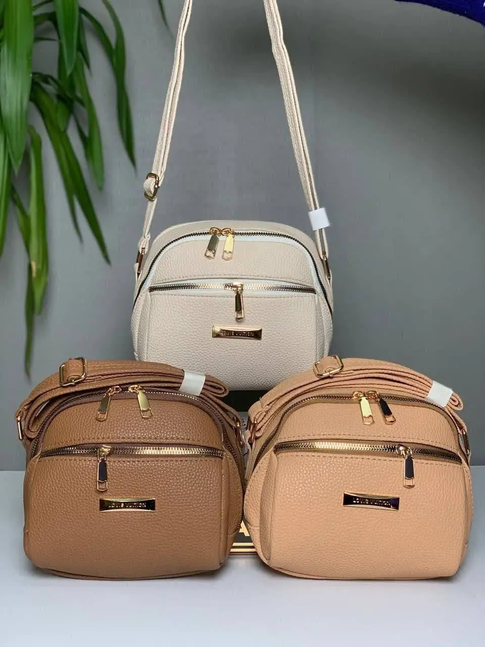 پاسپورتی تپل خفن
