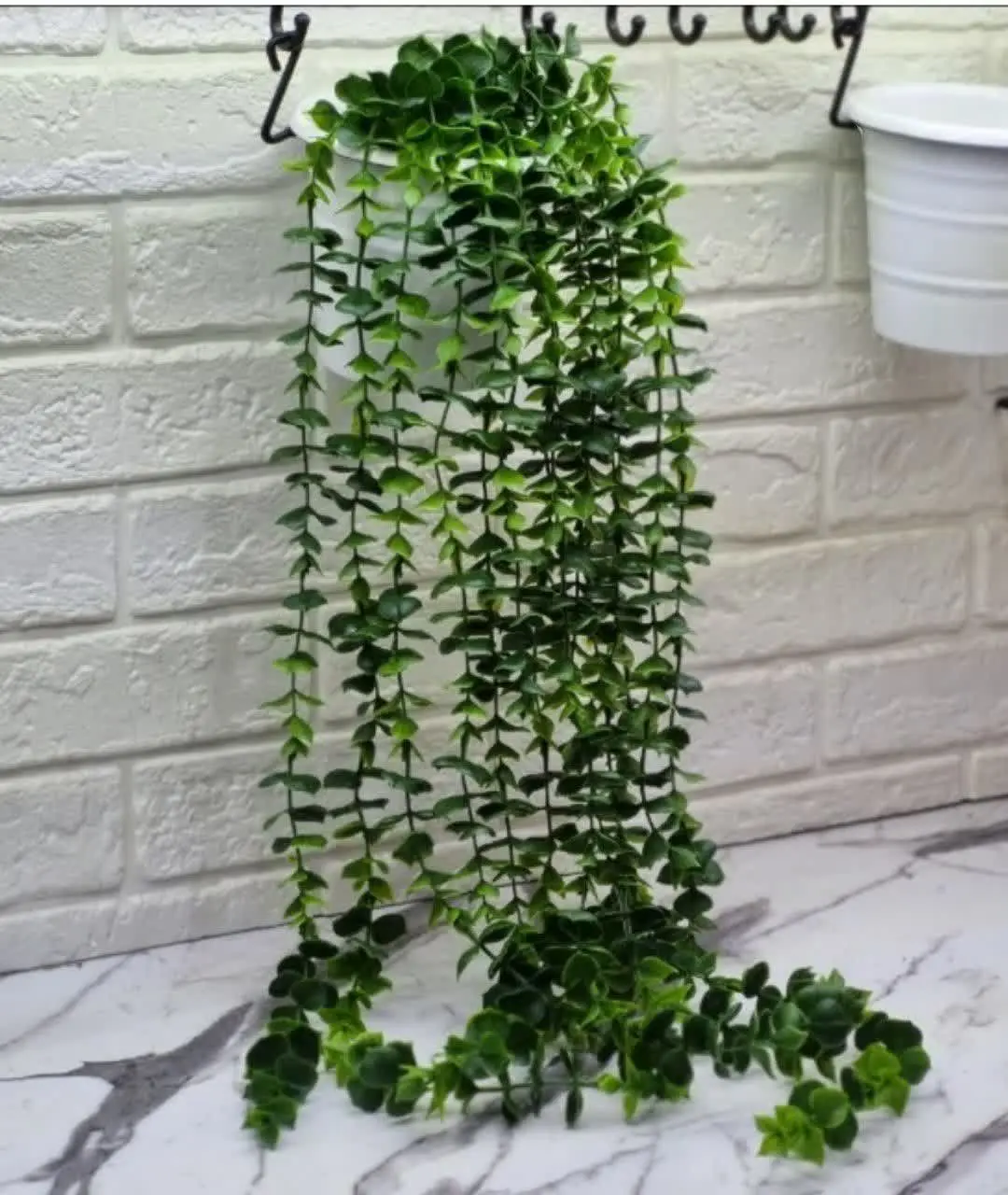 🌸ریسه شمشاد ۱۶شاخه 🌸
