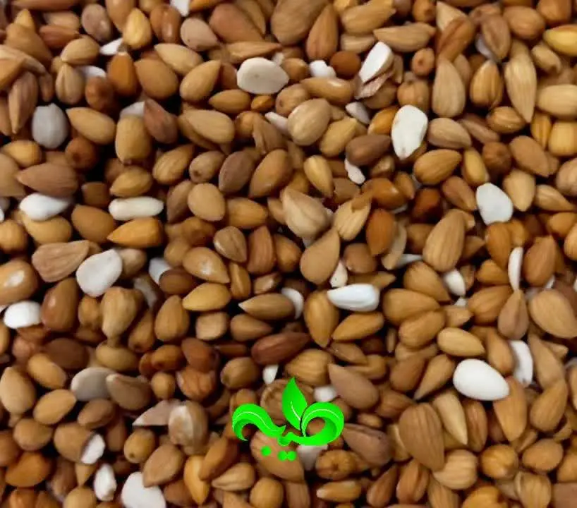 🍃#مغز_بادام_شور_کوهی 🍃
