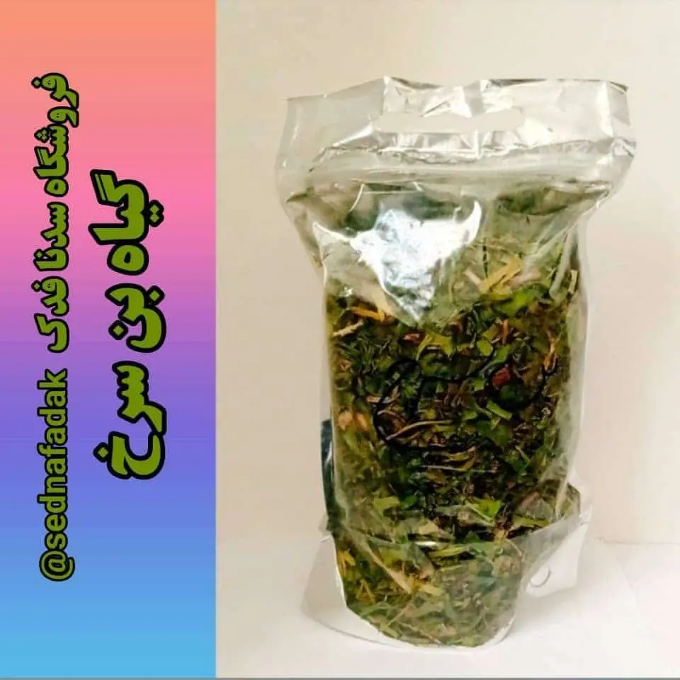 🔸️🔻گیاه بنصور یا گیاه بن سو...