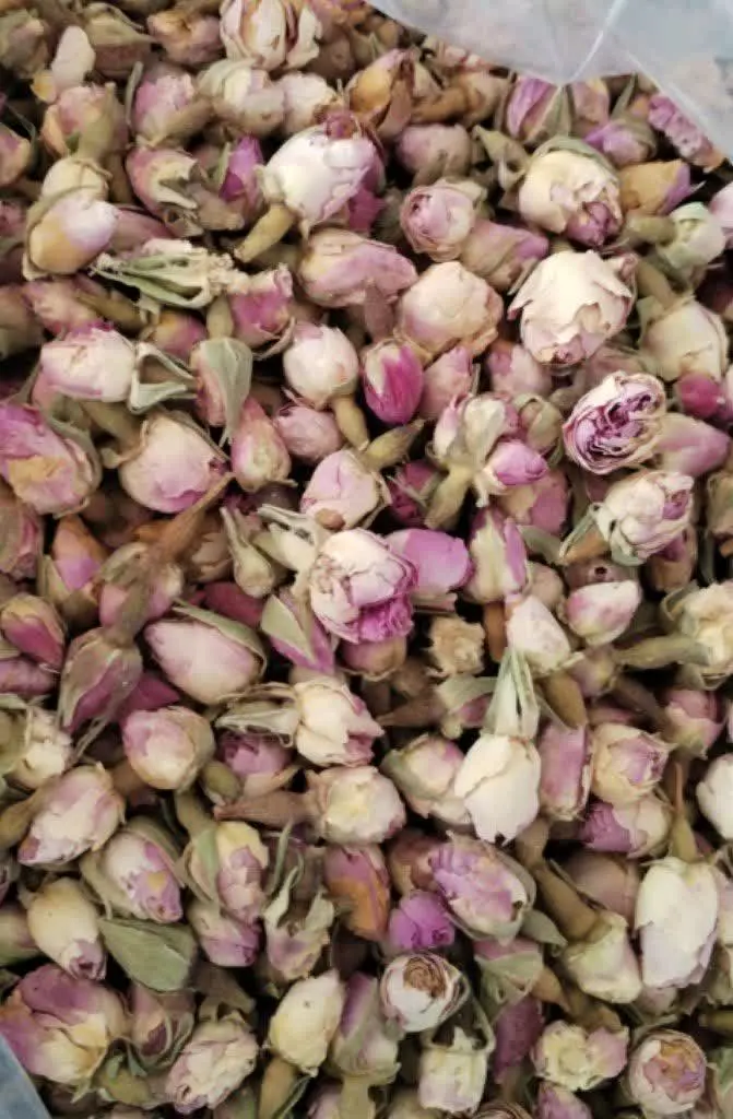 🌸 شارژ غنچه محمدی امساله 🌹
