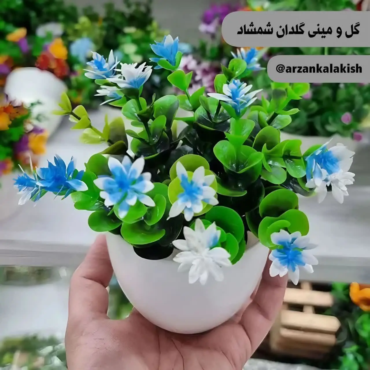 گلدان لیوانی پلاستیکی سفید