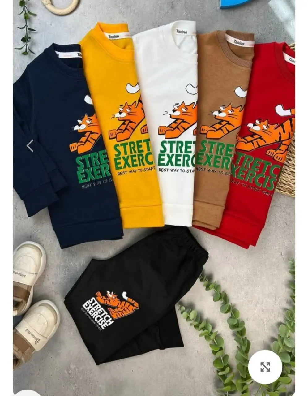 ست پسرانه تایگر