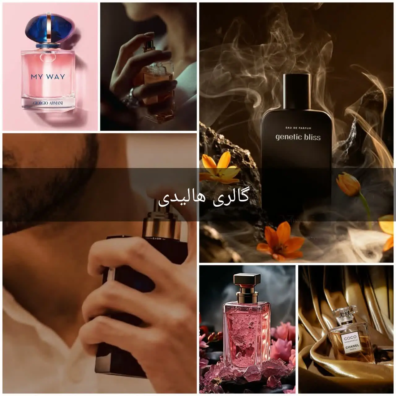 ✨گالری هالیدی✨
