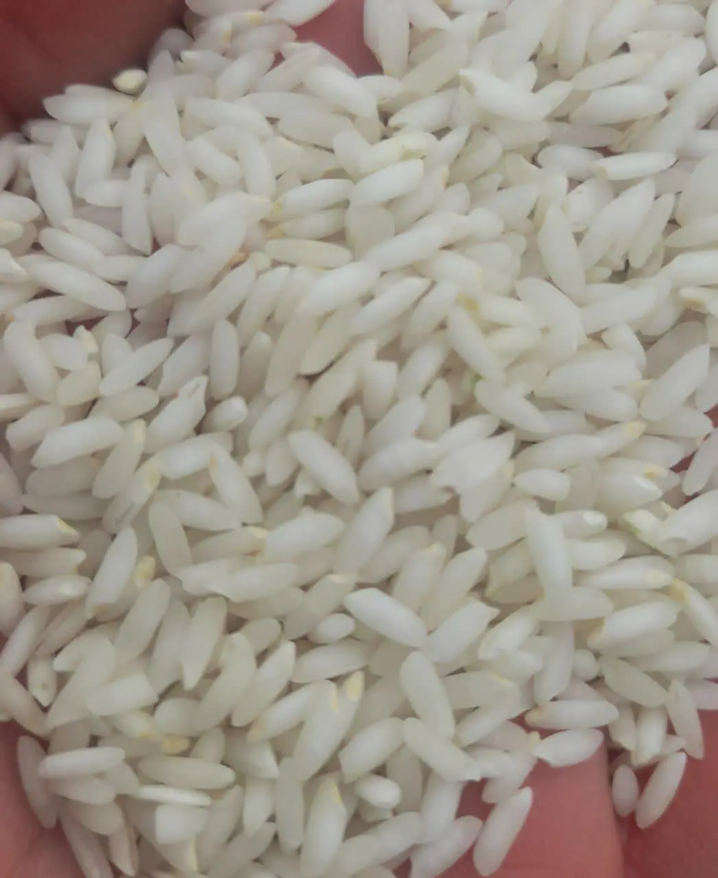 🚛🚛🚛 بار جدید رسید🚛🚛🚛
