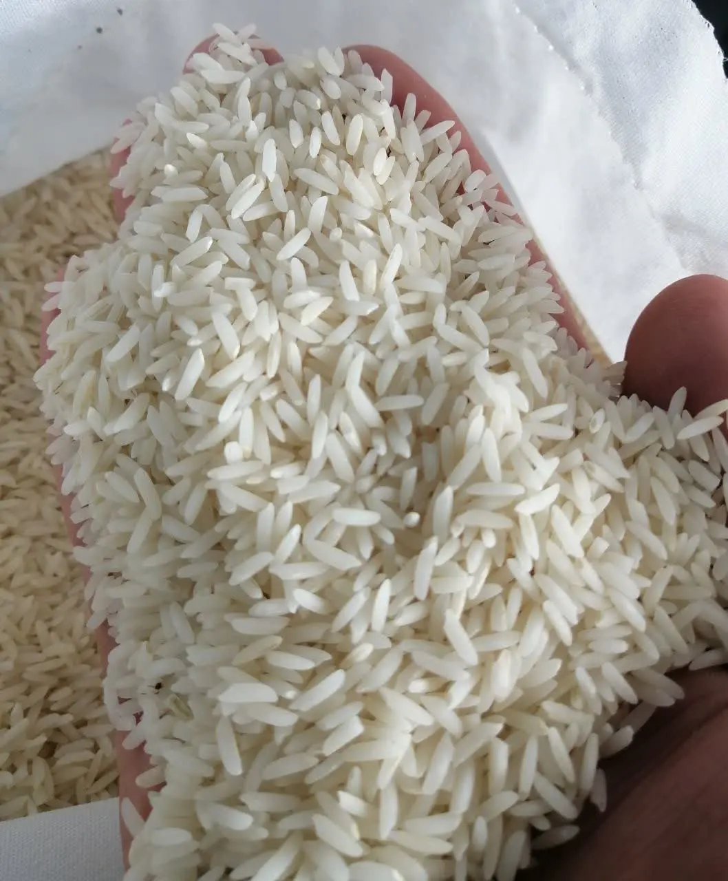 . 🌼بسم الله الرحمٰن الرحیم🌼
