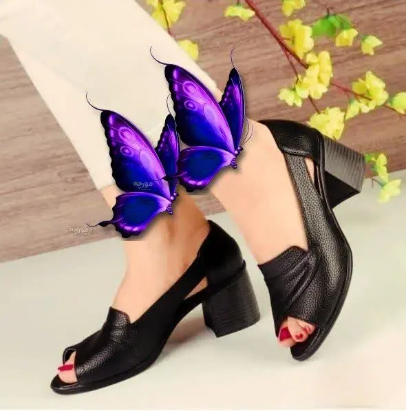 نام مدل: سدنا 
