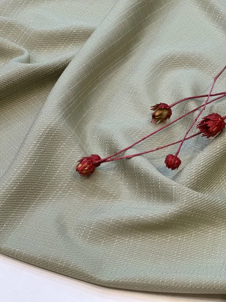 سلویا ژاکارد 
