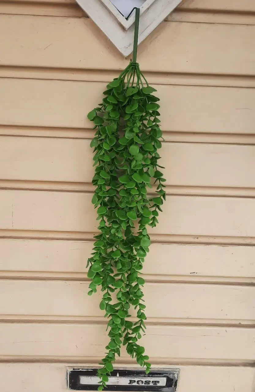 آویز شمشاد تک سلفون
