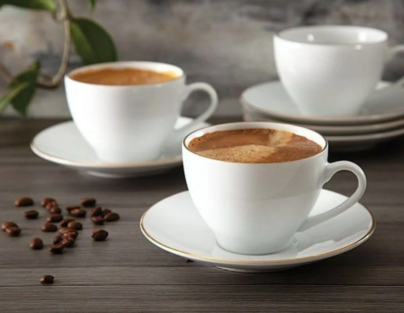 #چایخوری لب طلا
