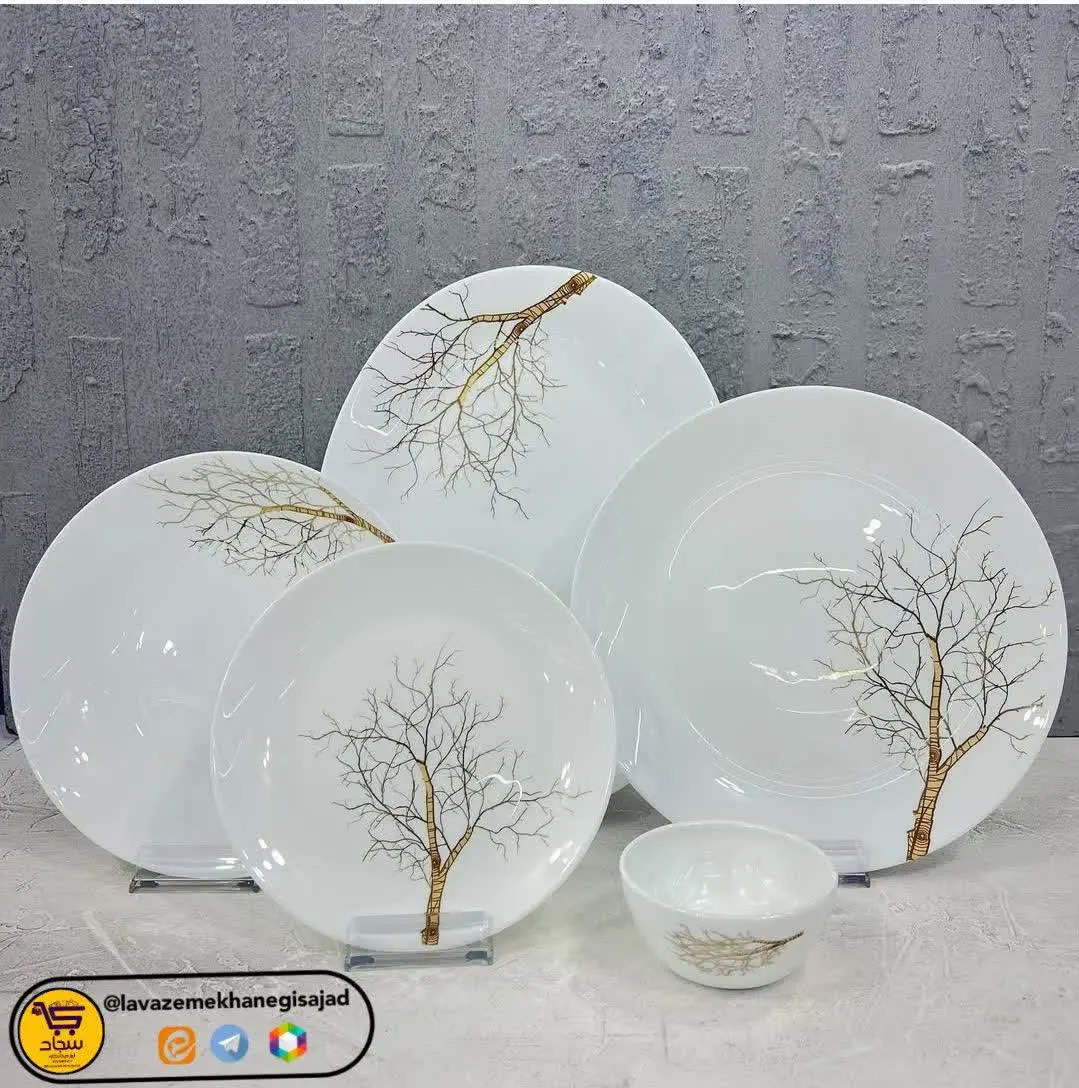 🏵۶ نفره شامل پیش دستی، بشقا...