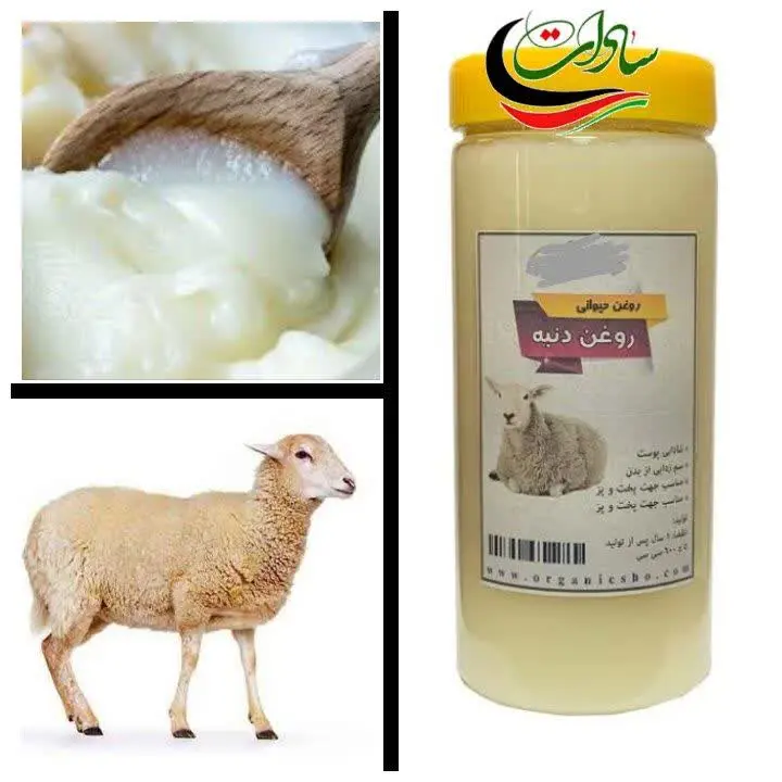 🐏 شارژ مجدد روغن دنبه گوسفندی محلی 🐑
