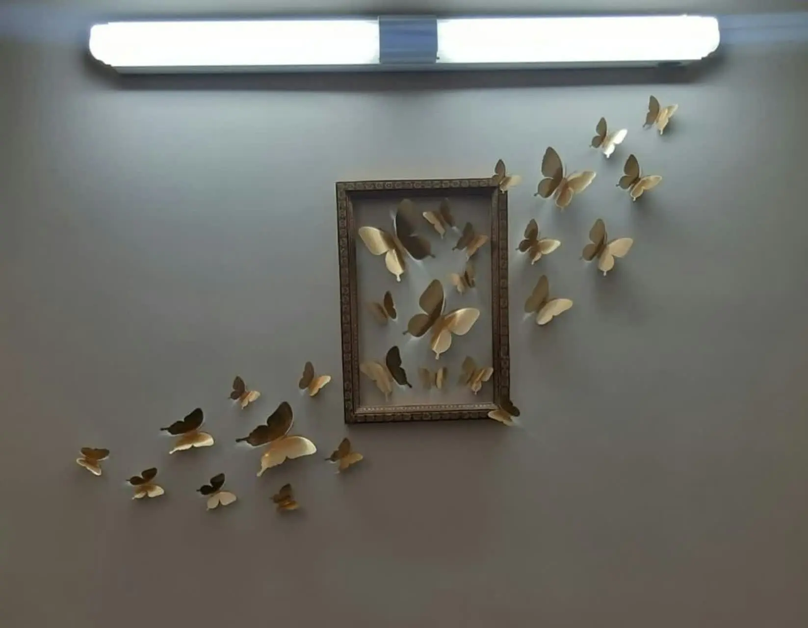 این پروانه‌ها خیلی طرفدار پیدا کرده 🤩🥰
