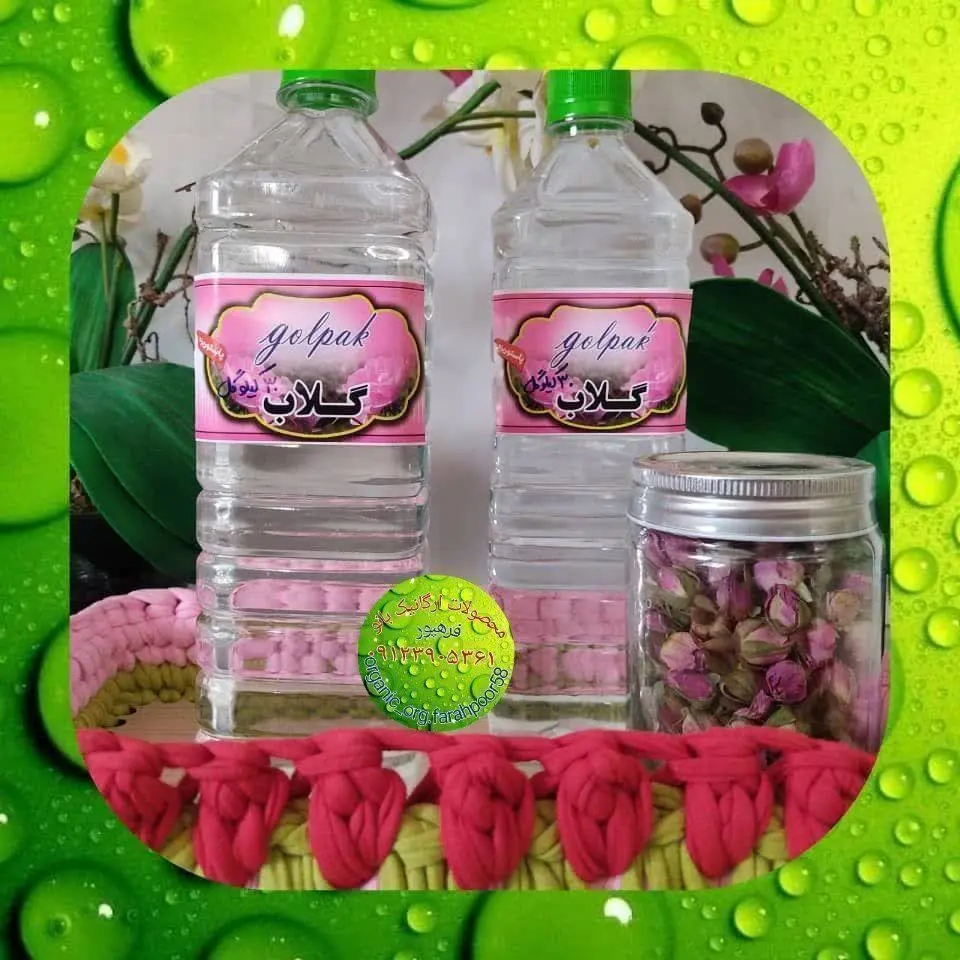 گلاب، اکسیر شفابخش طبیعت 🌹