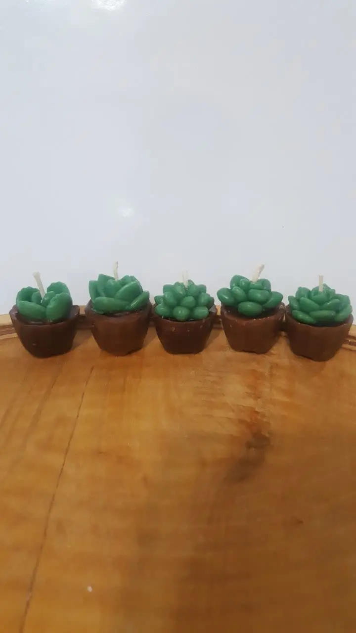 آخه چه قدر گوگولین اینا🤩🤩
