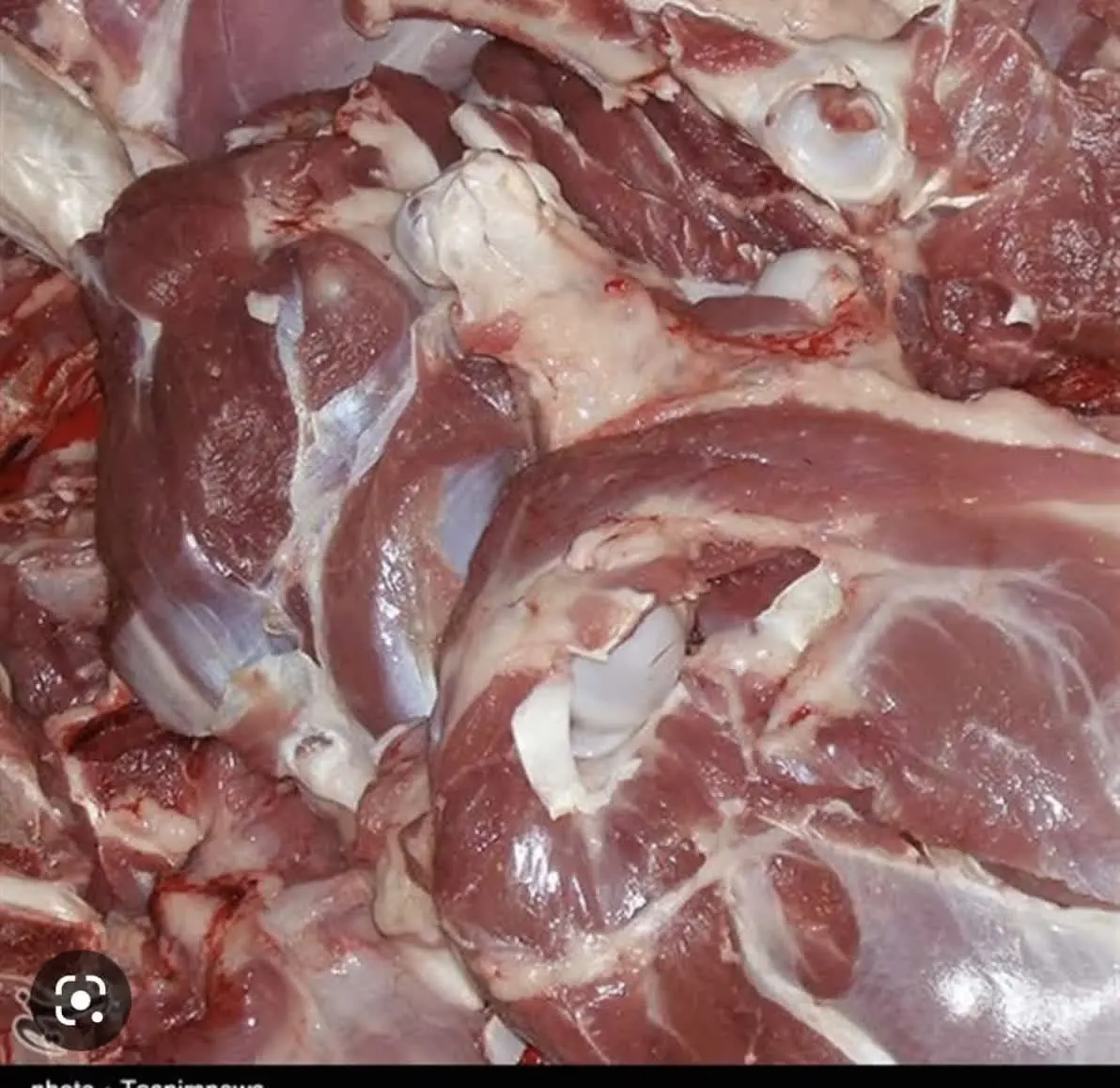 #گوشت_گرم_گوسفندی
