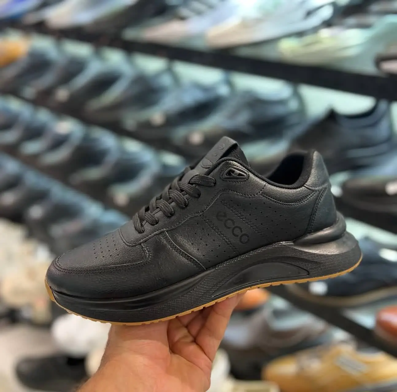 زیره و رویه خارجی