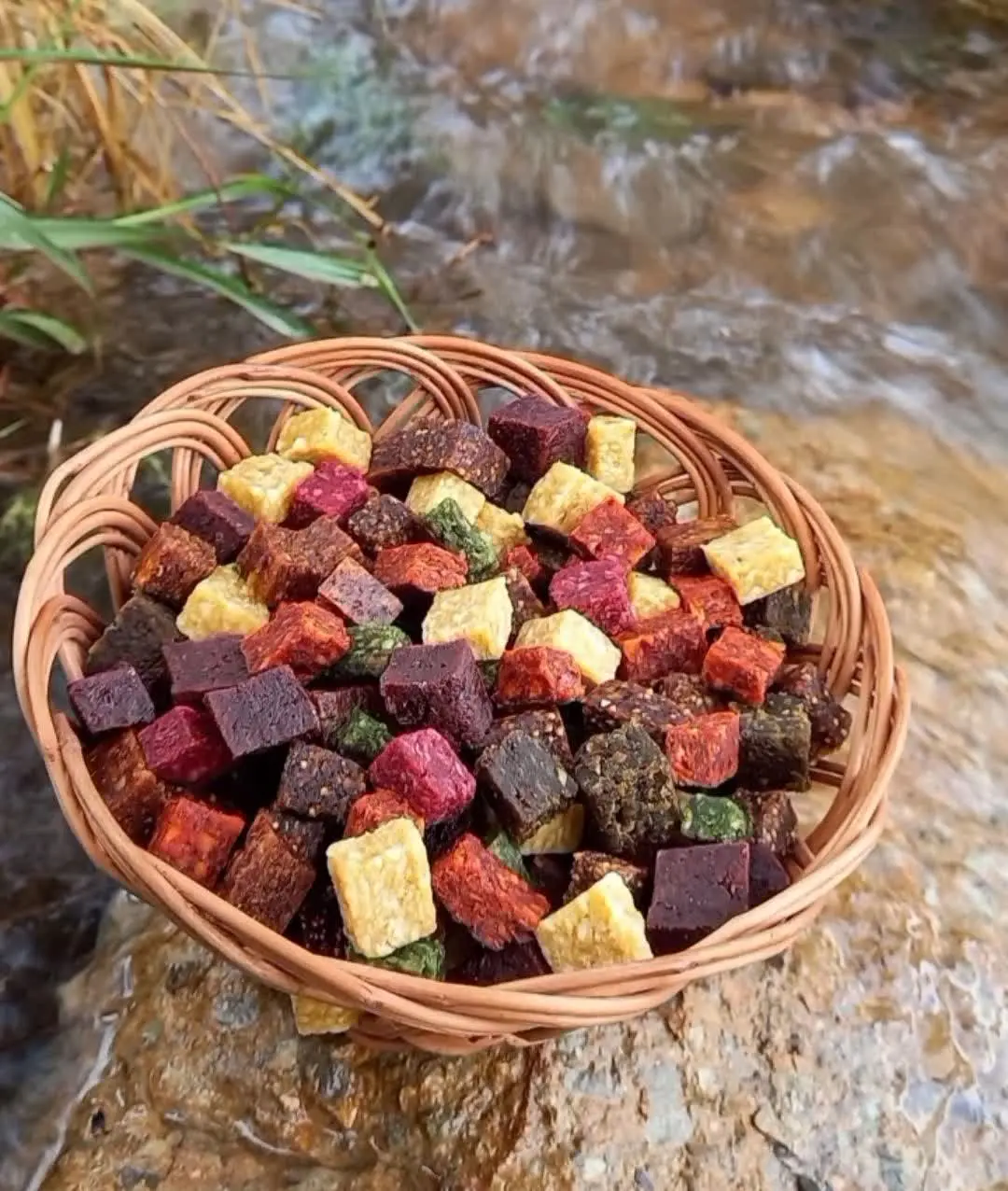 🍊🥝🍓🍐🍑🥥
